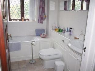 Picture 8