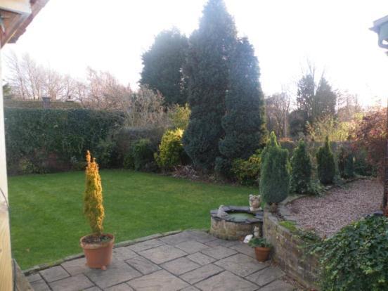 Garden 2