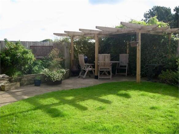 Garden in summer