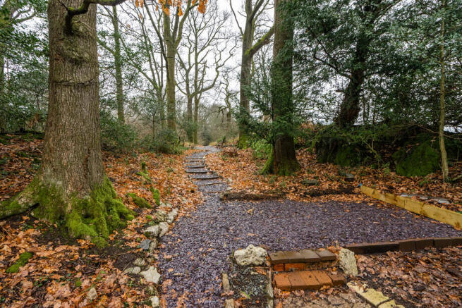Woodland