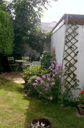 Rear Patio