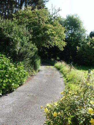 Photo 22