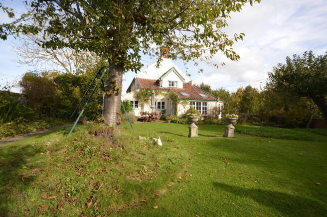 Photo 31