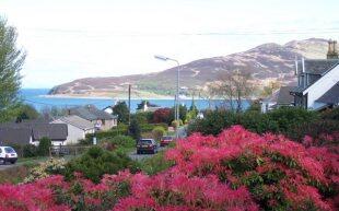 View from Garden