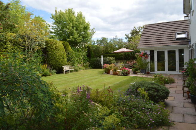Photo 6