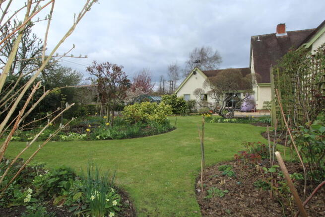 Photo 38