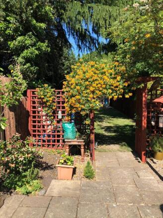 Garden in Summer