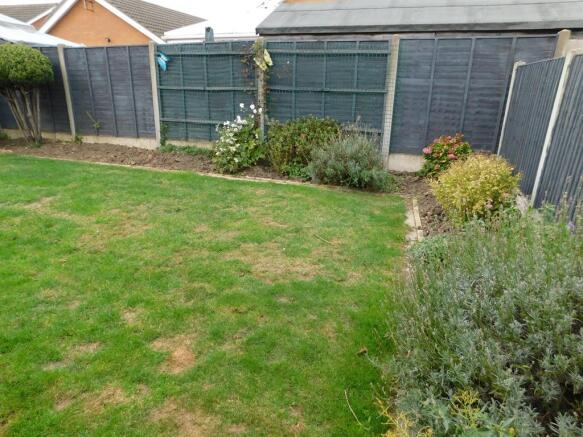 Garden 4