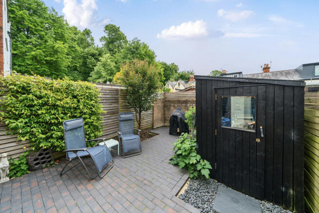 1137242 (11).jpg