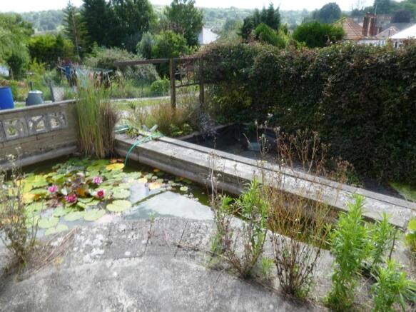 garden4.JPG