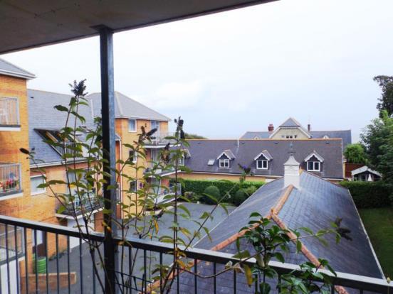 Rear Views