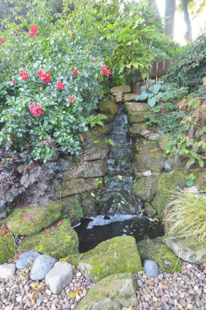 Photo 51