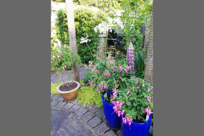 Vendor Garden 5