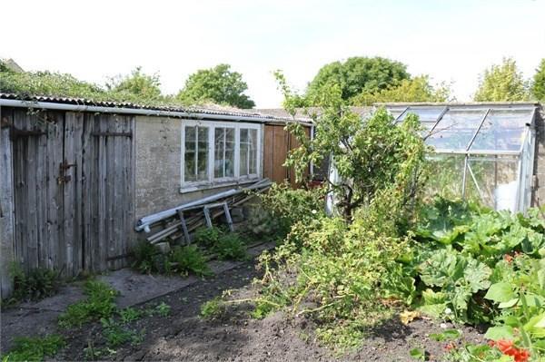 Veg Plot & Sheds