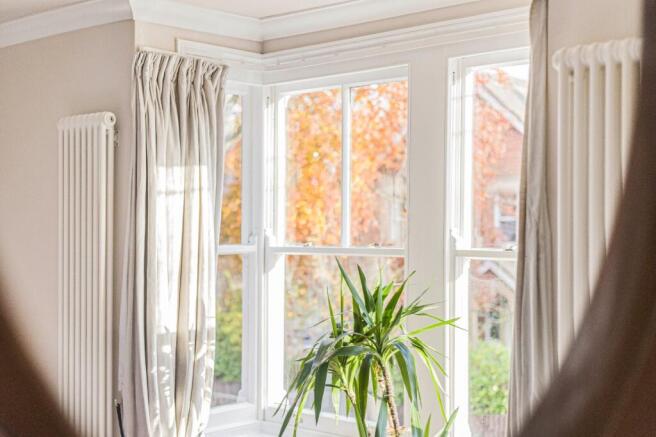 Picture 31