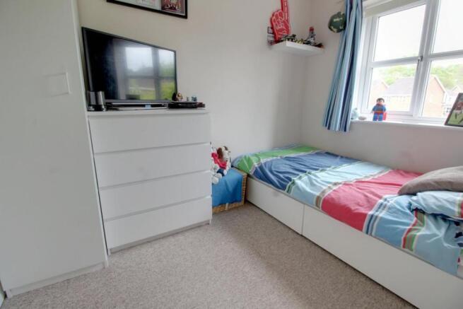 Picture 8