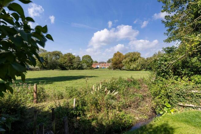 Meadow Views