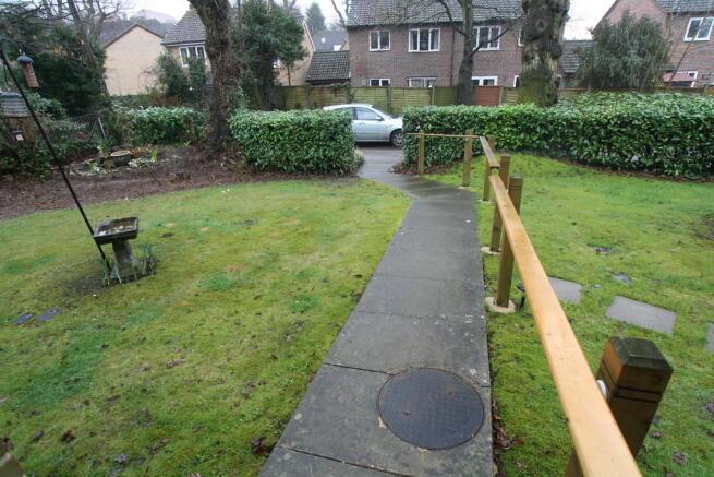 Photo 5