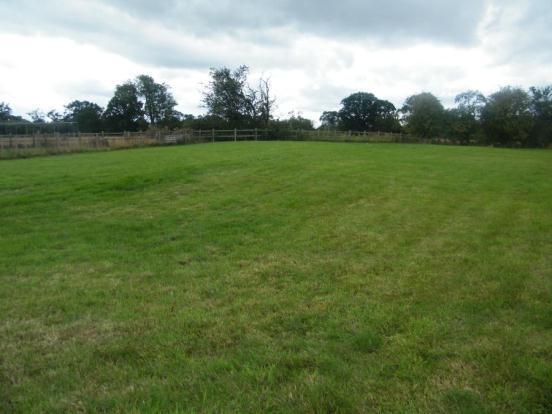 Paddock
