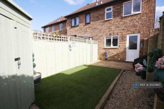 Back Garden