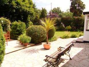 Patio area