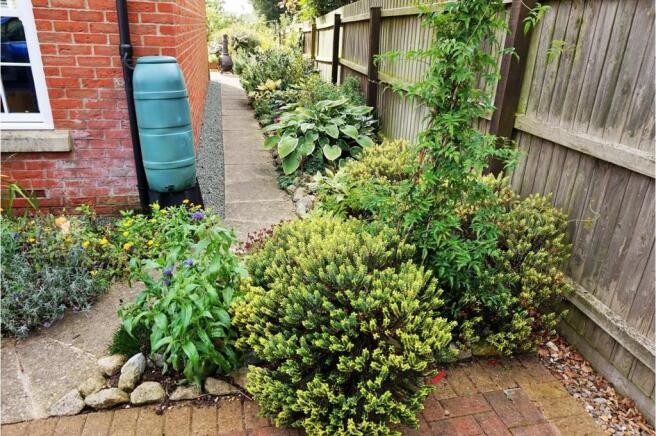 Side Garden