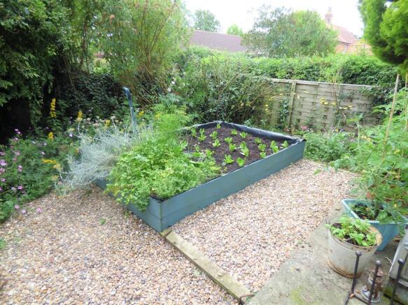 Veg Plot