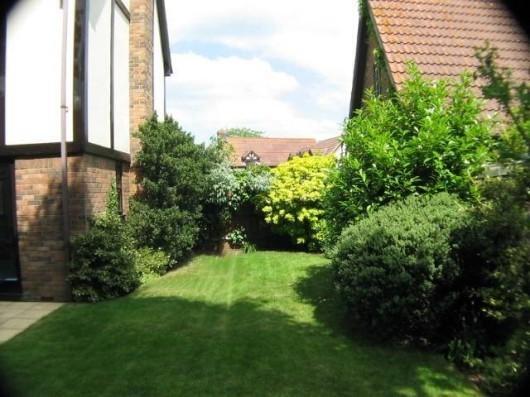 Side Garden