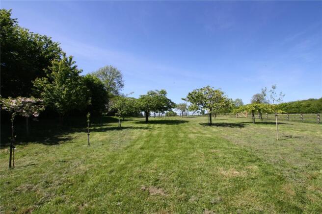 Orchard