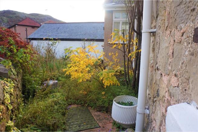 Cottage Garden