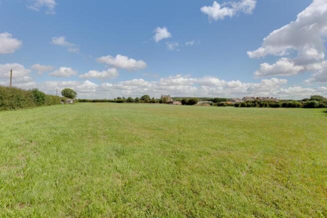 Grazing Paddock 1
