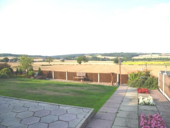 Image 15
