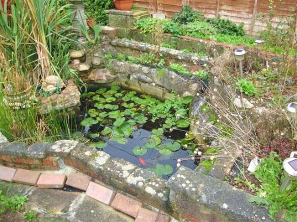 Pond
