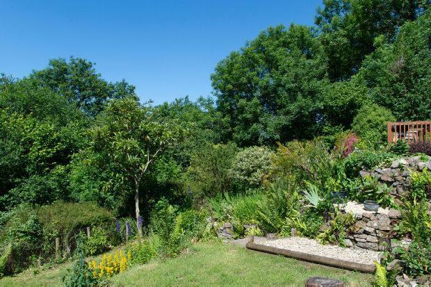 Rear Garden.