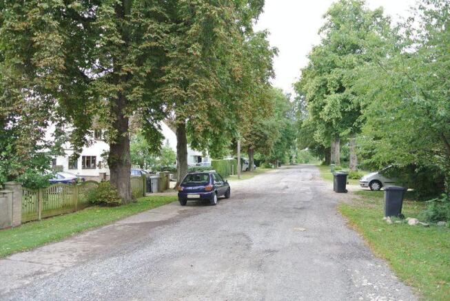 Tree Lined Str...