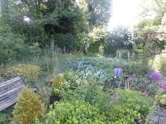Veg plot