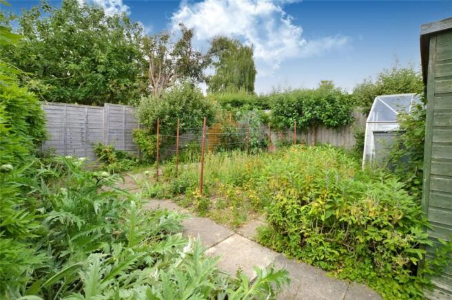 Veg Plot (Garden)