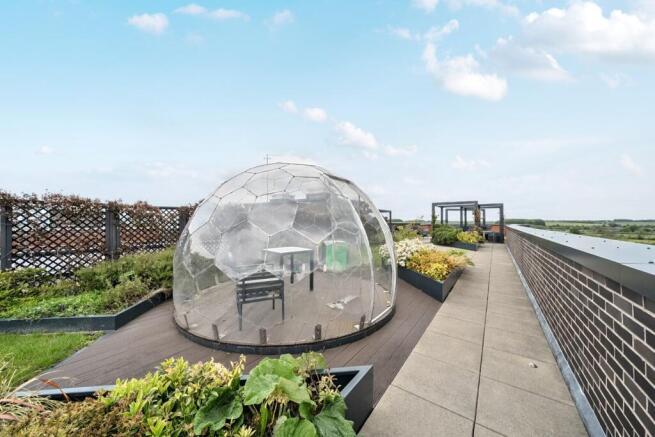 Rooftop Garden