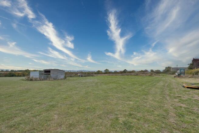 Rear Field