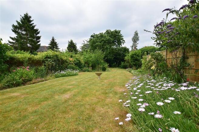 Rear Garden (Original)