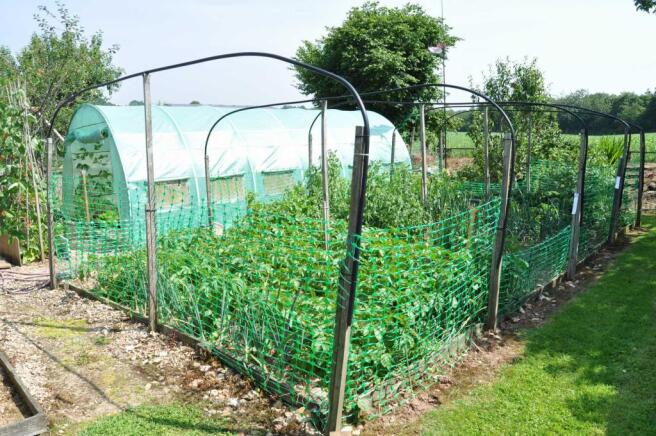 Vegetable patch