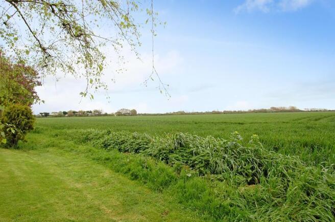 Fields from Garden