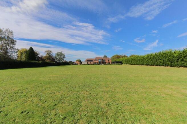 Rear Plot View