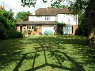 Rear of Property