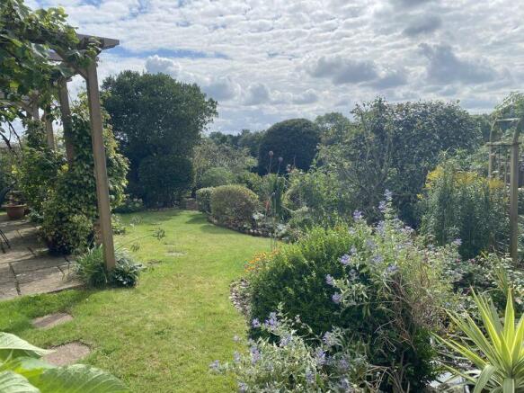 The Rear Garden