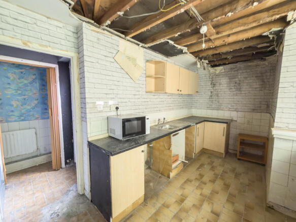 IMG 5666 T202604131025.jpg