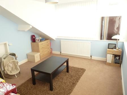 Dorma room  (Main)