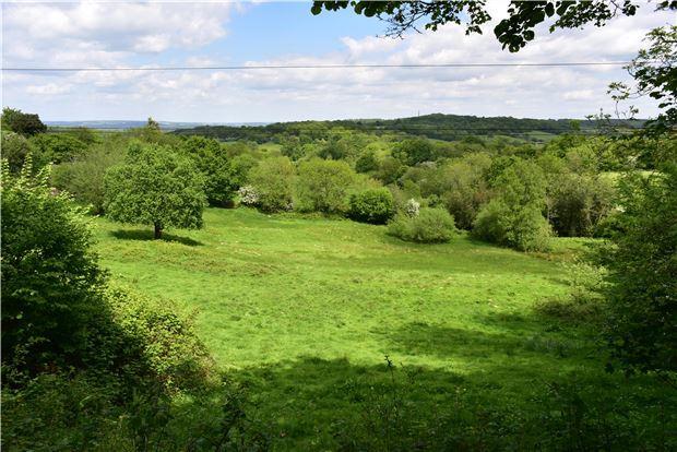 Nearby Views within 200m