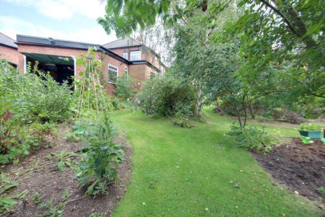 Garden at Back