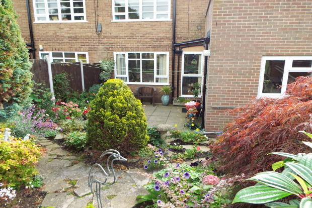 Photo 10